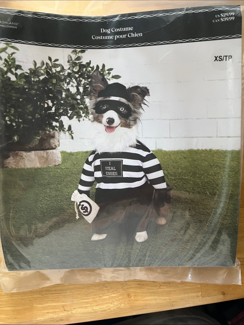 Ashland Black and White Striped Dog Thief Costume
